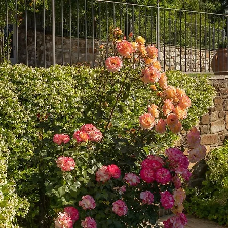 Holiday home Podere Cerretino Poppi
